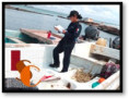 Inspeccionan lanchas ribereñas en Isla del Carmen: Capitanía de Puerto.